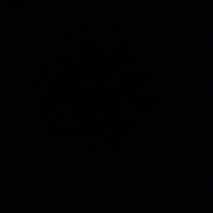 Meet your Posher, Sham